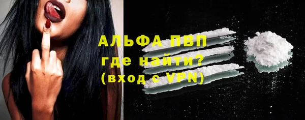 PSILOCYBIN Ладушкин