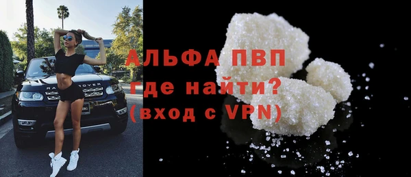 PSILOCYBIN Ладушкин