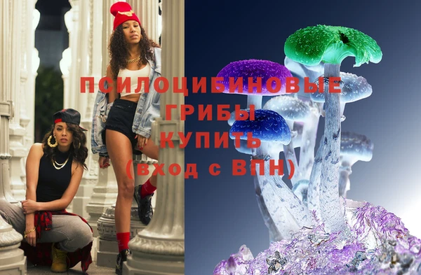 шишки Лагань