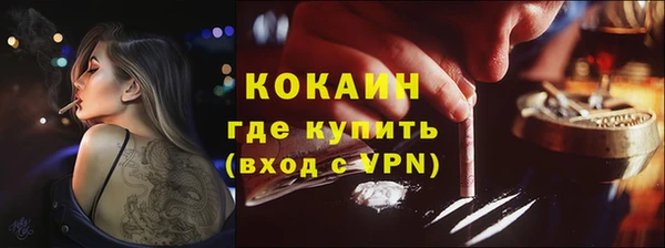 шишки Лагань