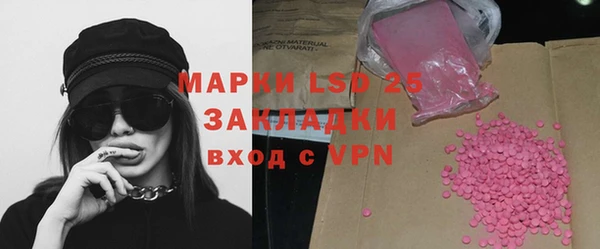PSILOCYBIN Ладушкин