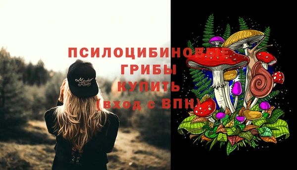 PSILOCYBIN Ладушкин