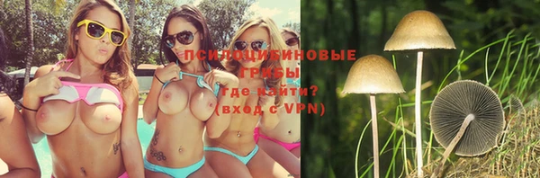 шишки Лагань