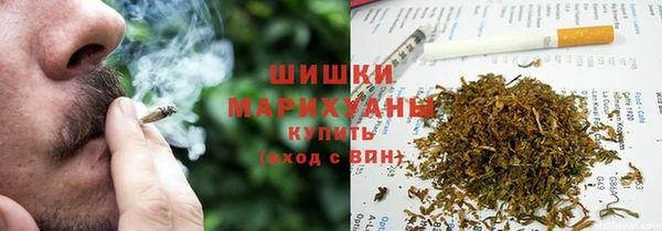 шишки Лагань