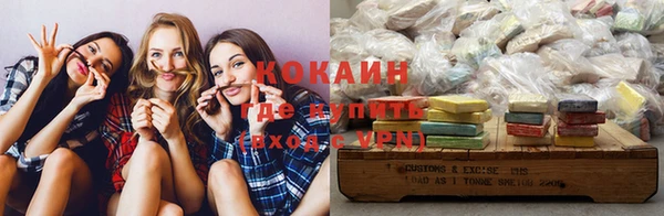 PSILOCYBIN Ладушкин